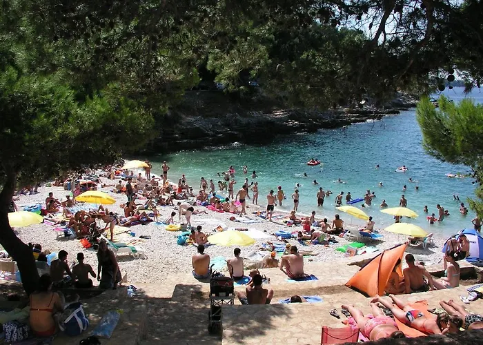 With A Garden Πούλα