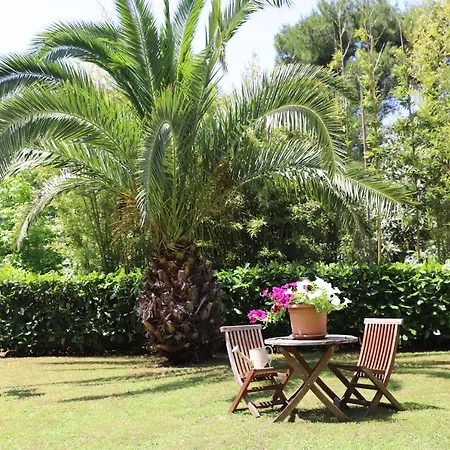 With A Garden